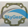 Cylinder gasket